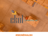 MALSH Realty & Property  - référence-malsh-ekol-local-logistique