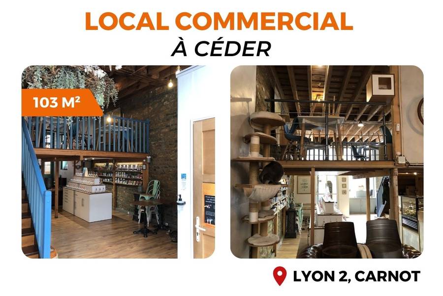 MALSH Realty & Property - BIEN_A_BOOSTER_-_COMMERCE_CARNOT_SRI_1030909