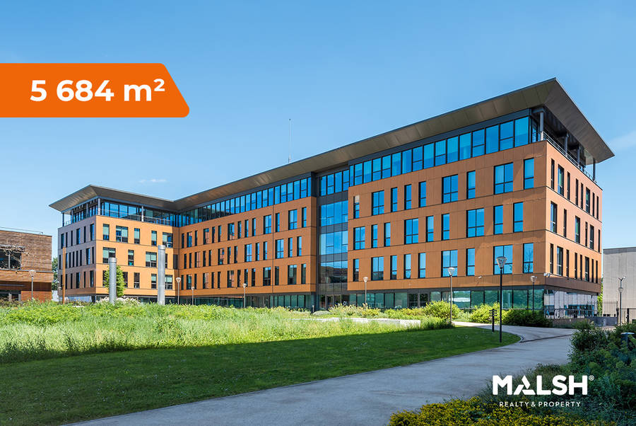 MALSH Realty & Property - BAB-SLU-GERLAND-BUREAUX-LOCATION-GRAND